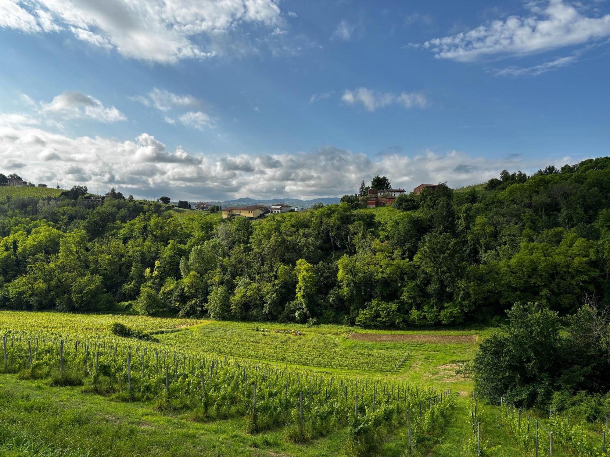 Agriturismo Casa Casoni Canneto Pavese 外观 照片